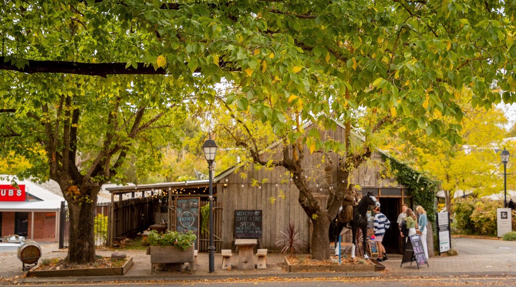 Udder Delights Cheese Cellar which includes street scenes