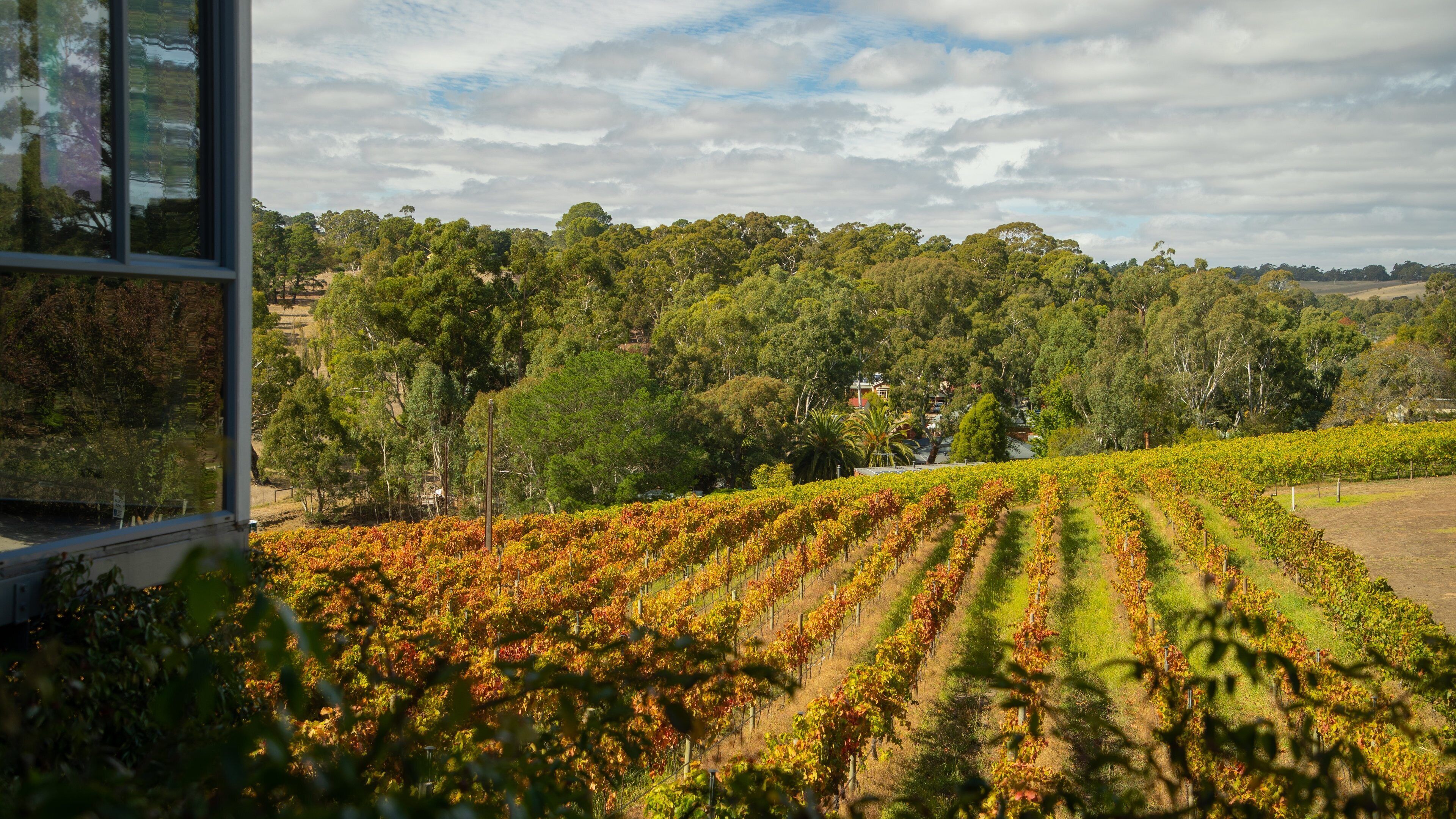 Hahndorf Hill Winery featuring farmland