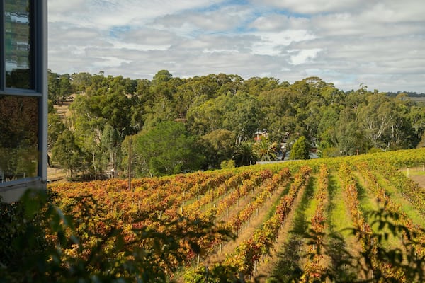 Hahndorf Hill Winery featuring farmland