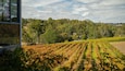 Hahndorf Hill Winery featuring farmland
