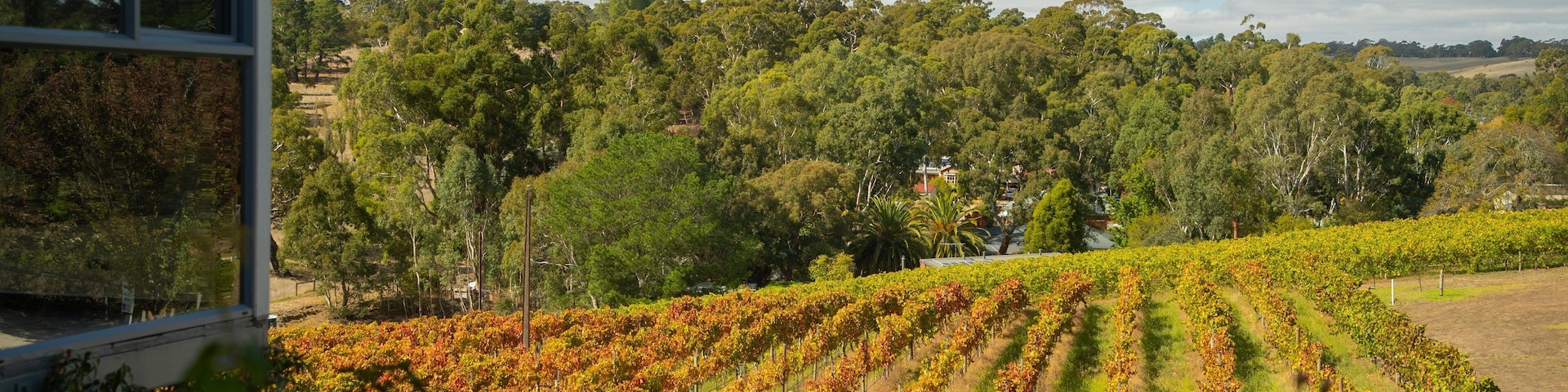 Hahndorf Hill Winery featuring farmland
