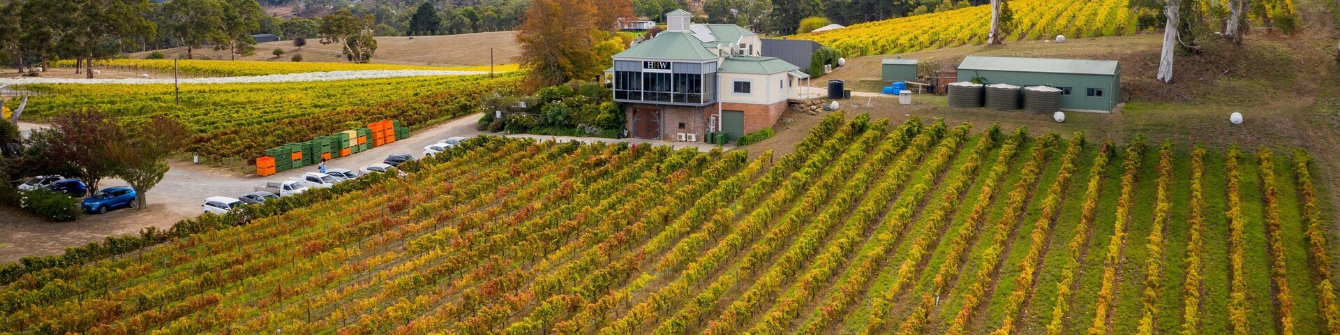 Hahndorf Hill Winery showing farmland