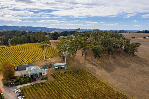 Hahndorf Hill Winery showing tranquil scenes, landscape views and farmland