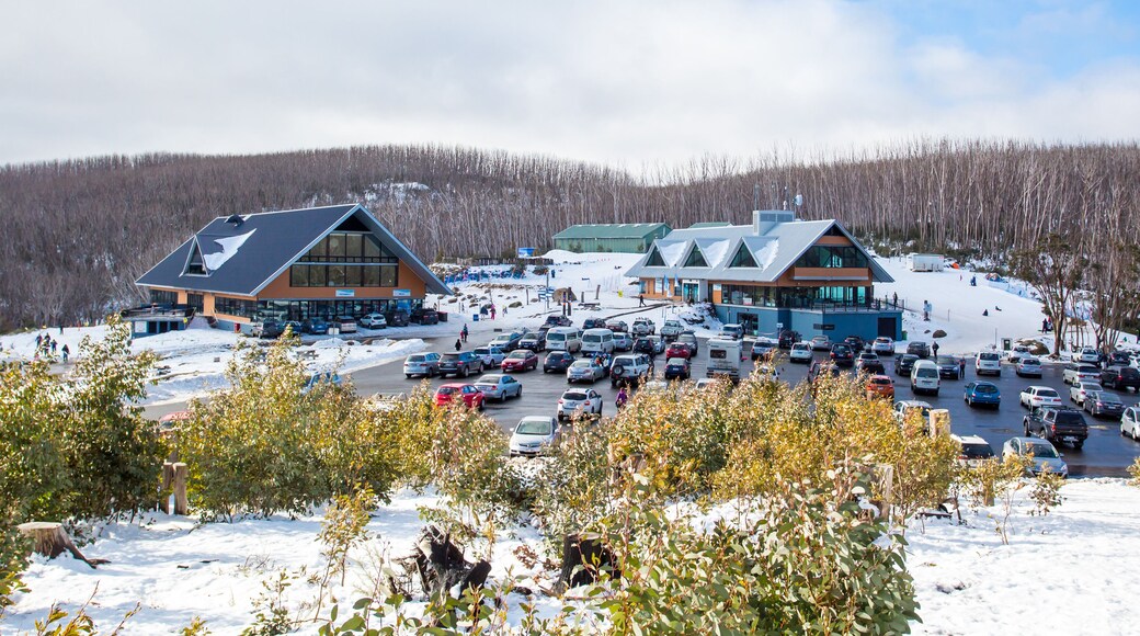 Lake Mountain Alpine Resort