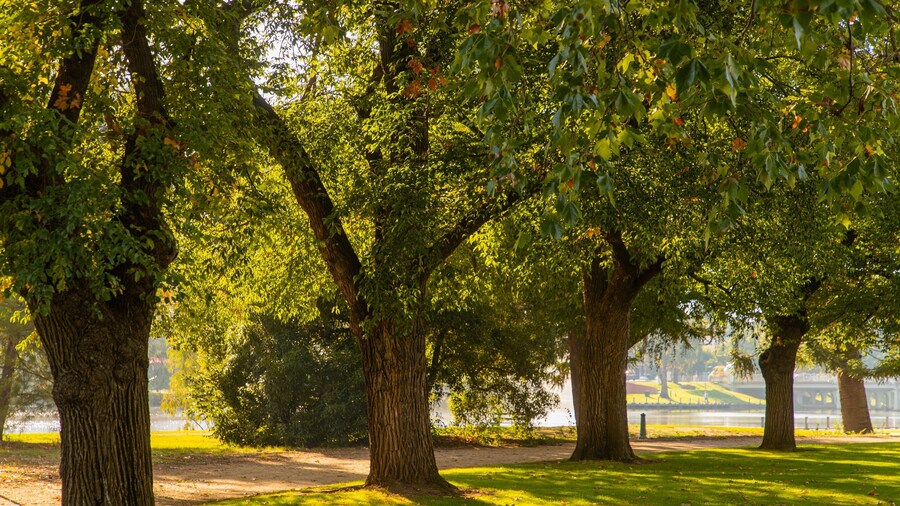 Benalla Botanic Gardens
