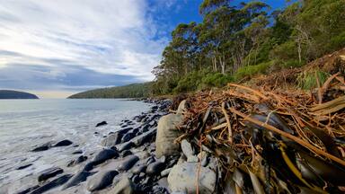 Península de Tasmania mostrando vista general a la costa, una playa de piedras y una bahía o un puerto
