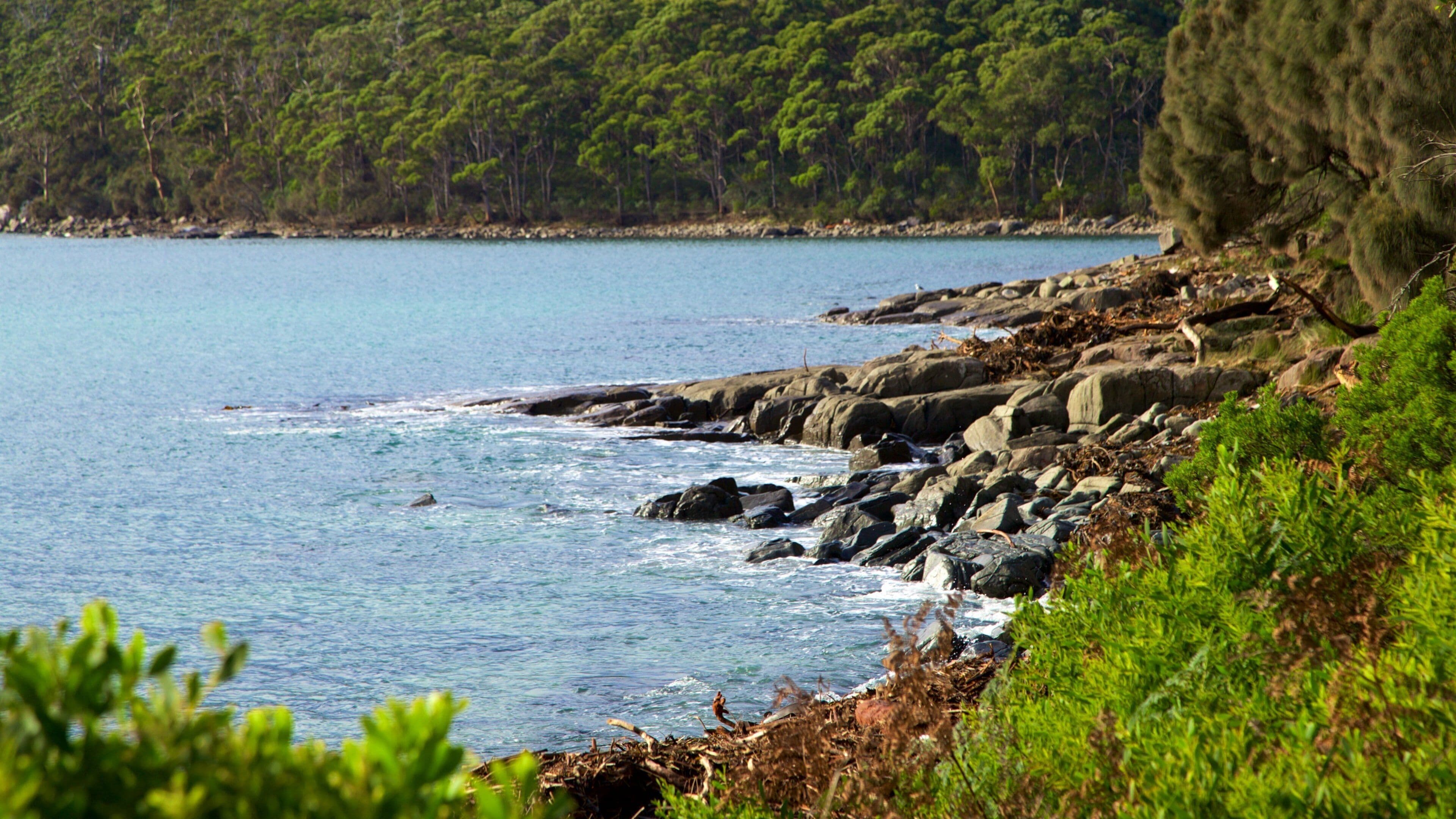 Tasman Peninsula showing rugged coastline, general coastal views and a bay or harbor