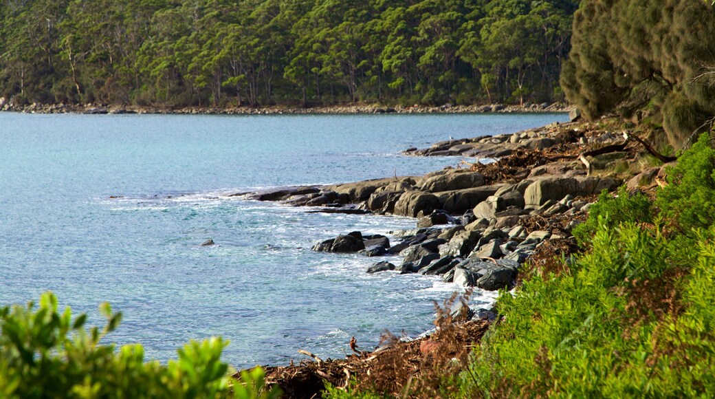 Tasman Peninsula showing rugged coastline, general coastal views and a bay or harbor