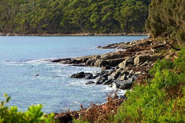 Péninsule de Tasman qui includes cÎte rocheuse, baie ou port et vues littorales