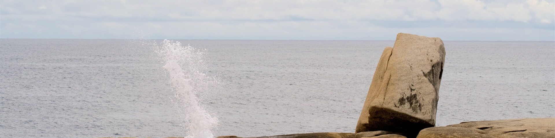 Bicheno Blowhole featuring rugged coastline and general coastal views as well as a small group of people