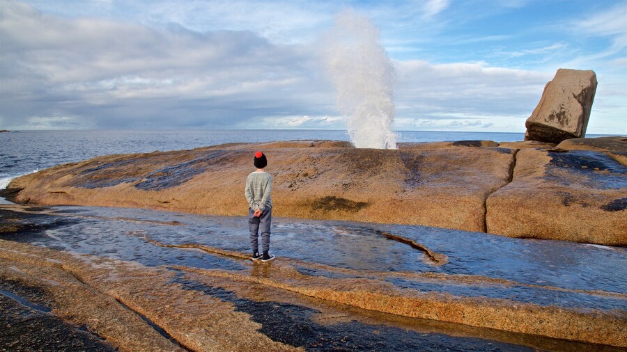 Bicheno Blowhole which includes general coastal views and rugged coastline as well as an individual child
