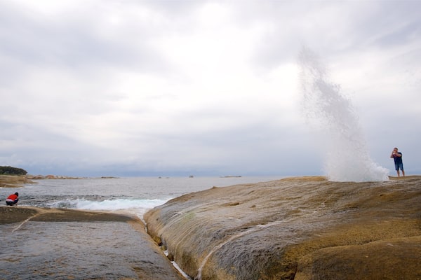Une côte rocheuse où une grosse vague s’écrase sur le rivage, une personne accroupie près de l’eau, et deux personnes debout qui observent les vagues.