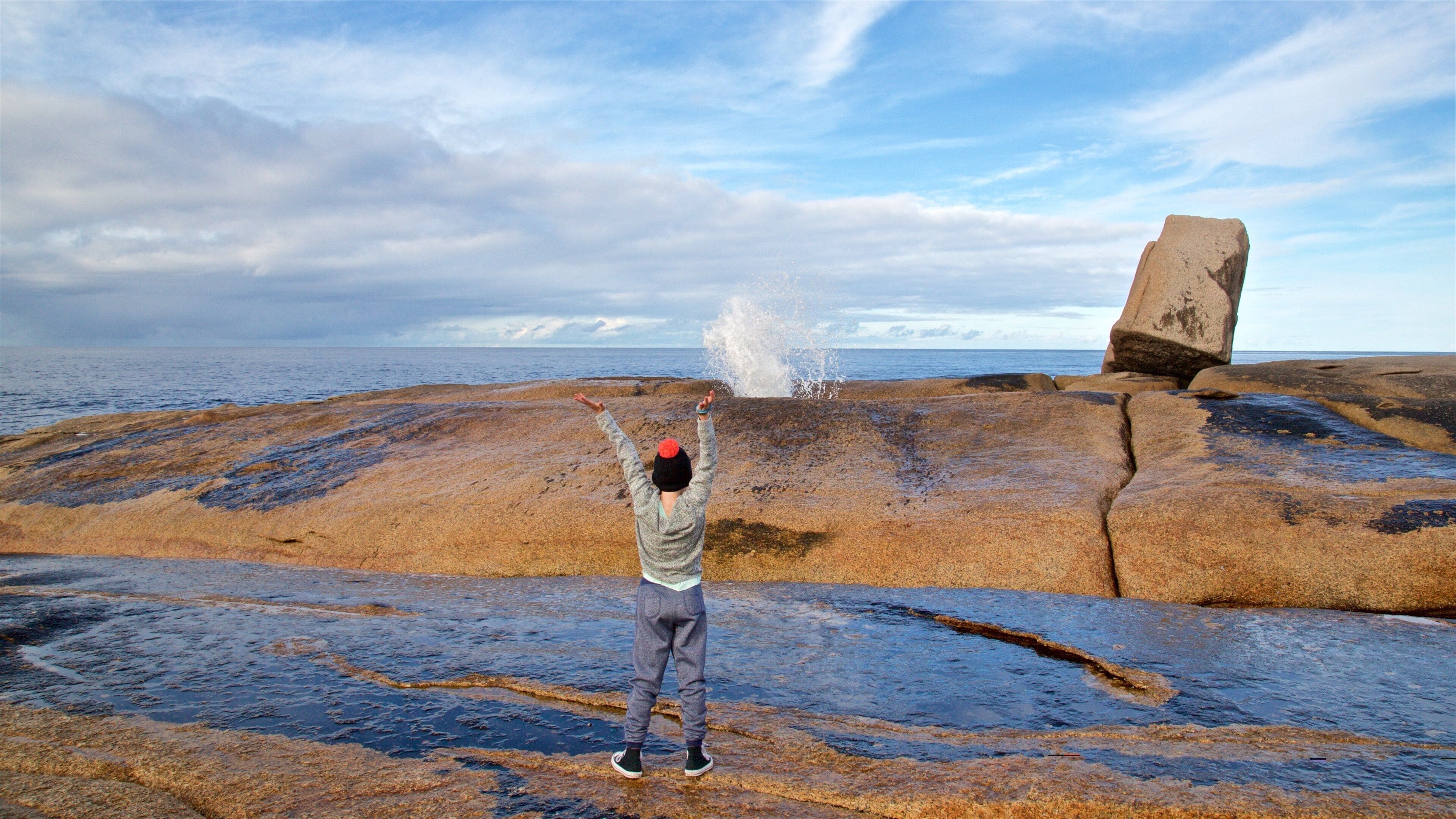 Bicheno Blowhole showing rocky coastline and general coastal views as well as an individual femail