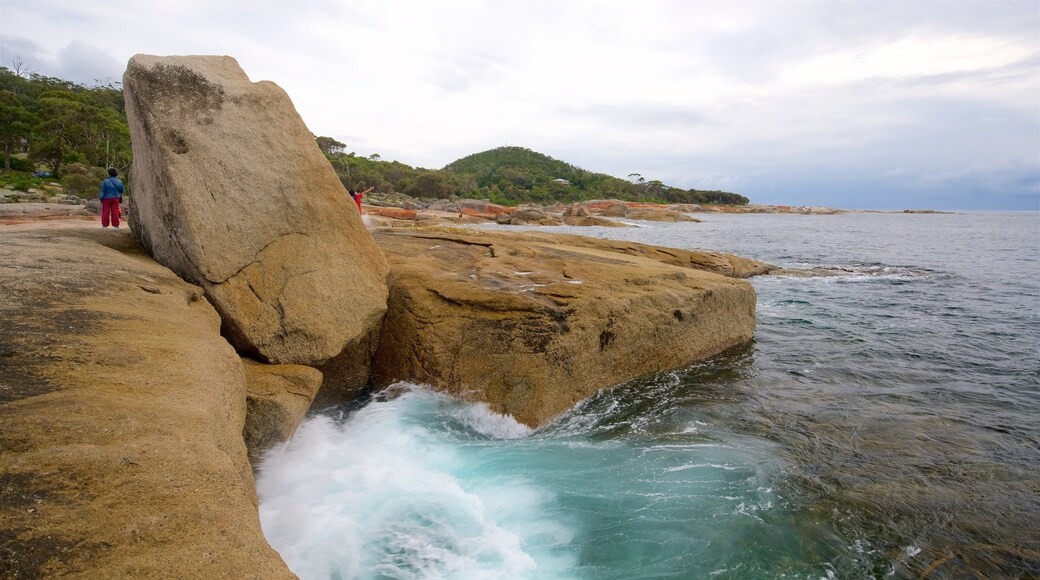 Bicheno Blowhole featuring rugged coastline and general coastal views