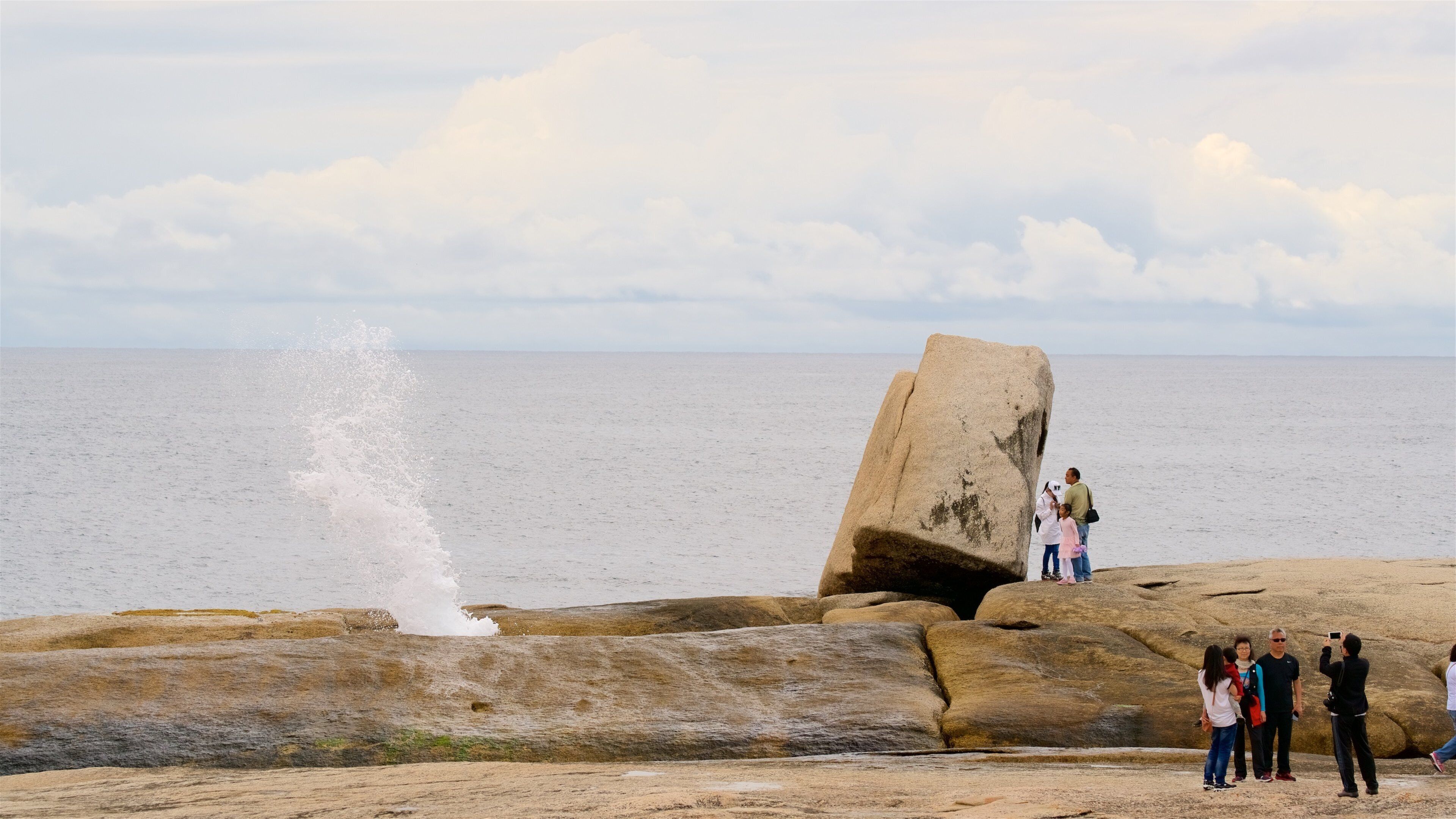 Bicheno Blowhole featuring general coastal views as well as a small group of people