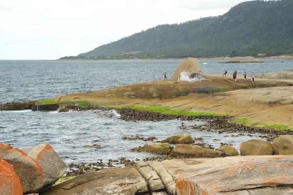 Bicheno welches beinhaltet FelskĂŒste und allgemeine KĂŒstenansicht sowie kleine Menschengruppe