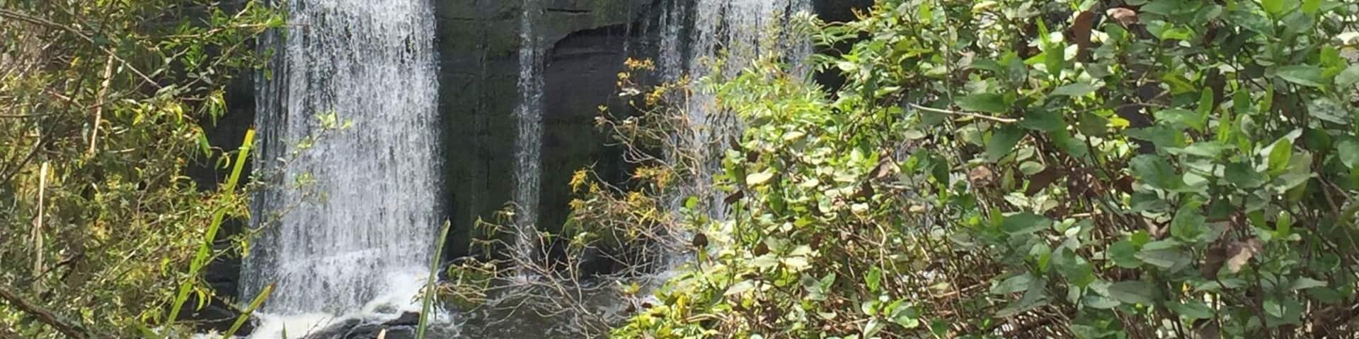 Water falling at Agnes Falls 🍃 #waterfalls #weekendescape