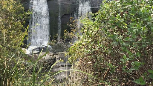 Water falling at Agnes Falls ๐ #waterfalls #weekendescape