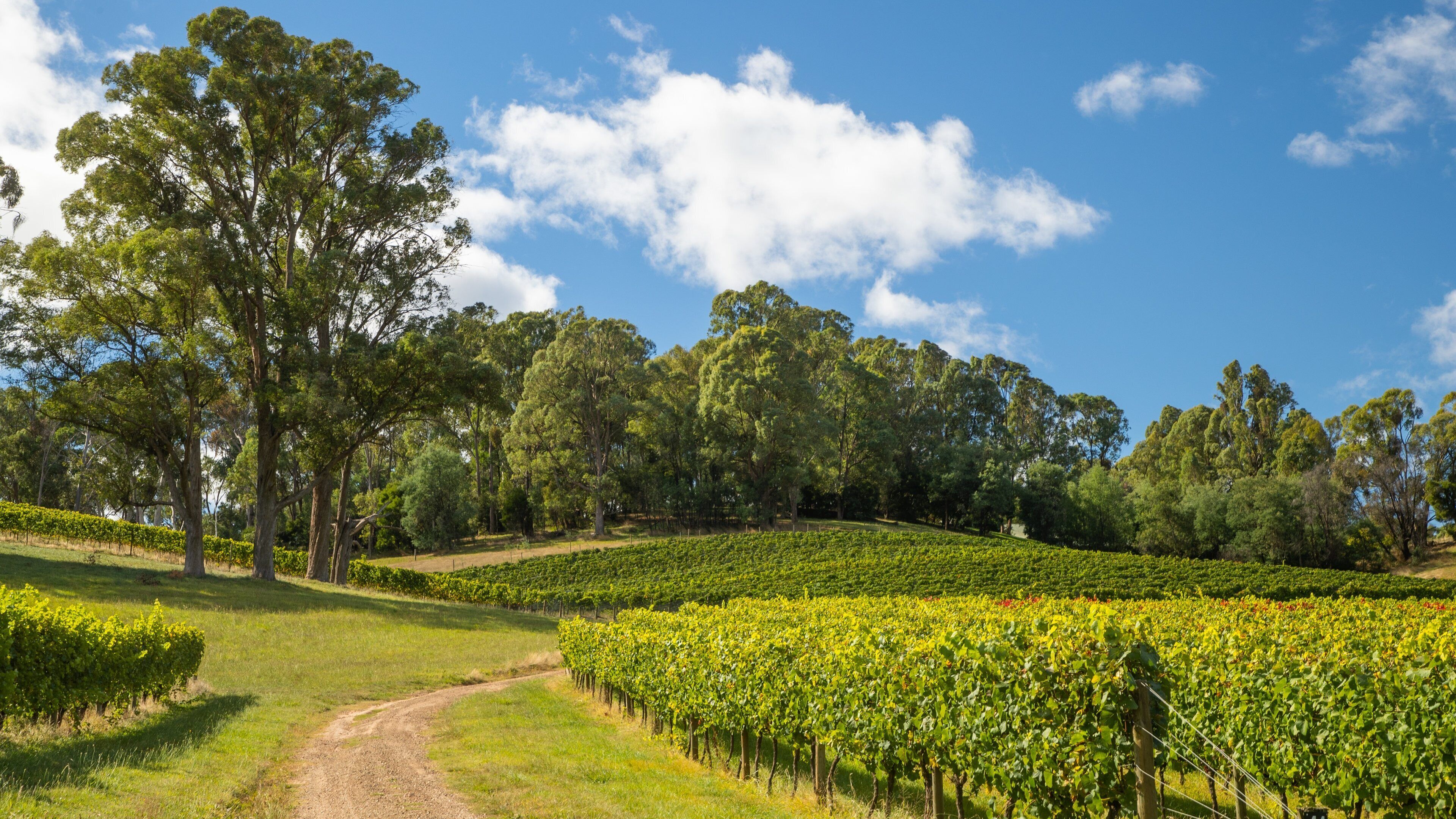 Ringer Reef Winery which includes farmland