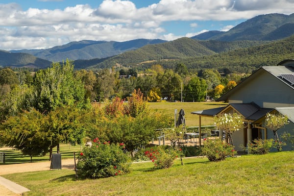 Ringer Reef Winery showing farmland, tranquil scenes and landscape views