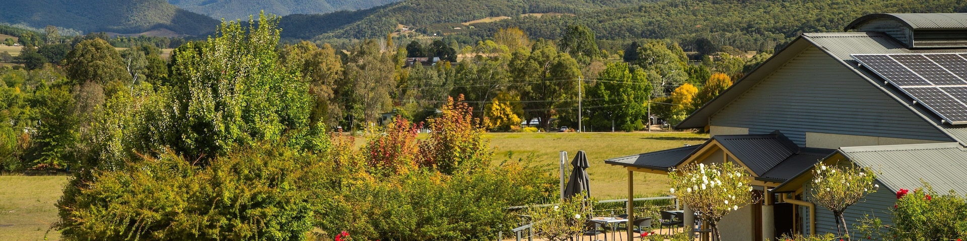 Ringer Reef Winery showing farmland, tranquil scenes and landscape views
