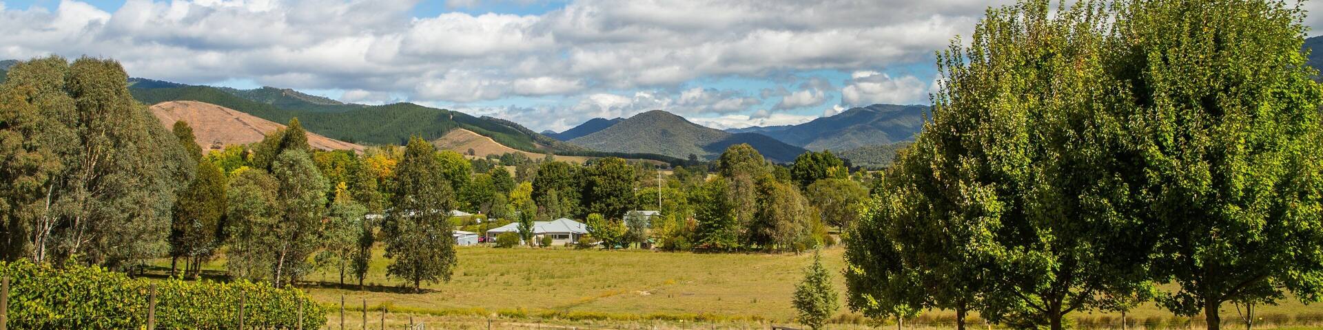 A dirt road leading to a rural area with houses, vineyards, and mountains in the background.
