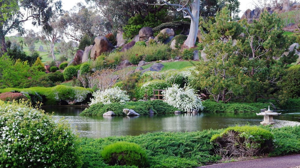 Peaceful garden with a beautiful blend of Australian and Japanese influences, Shutterstock ID 565056631, Purchase Order: -