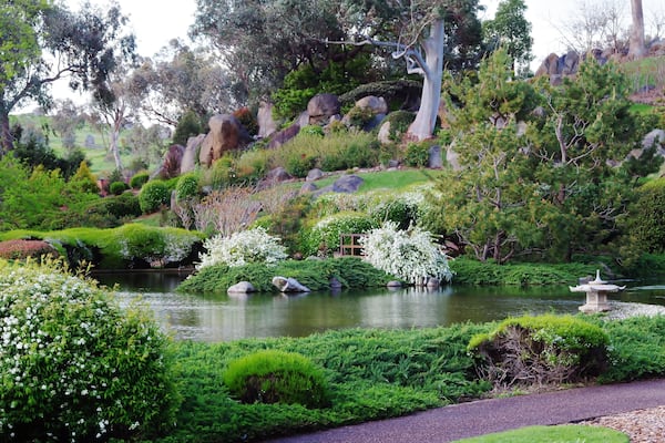 Peaceful garden with a beautiful blend of Australian and Japanese influences, Shutterstock ID 565056631, Purchase Order: -
