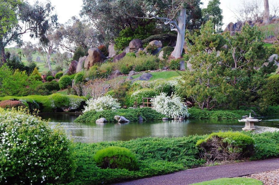 Peaceful garden with a beautiful blend of Australian and Japanese influences, Shutterstock ID 565056631, Purchase Order: -