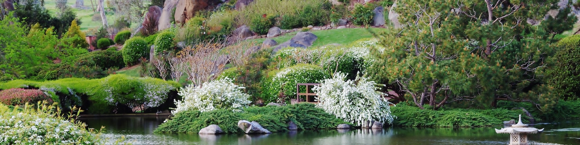 Peaceful garden with a beautiful blend of Australian and Japanese influences, Shutterstock ID 565056631, Purchase Order: -