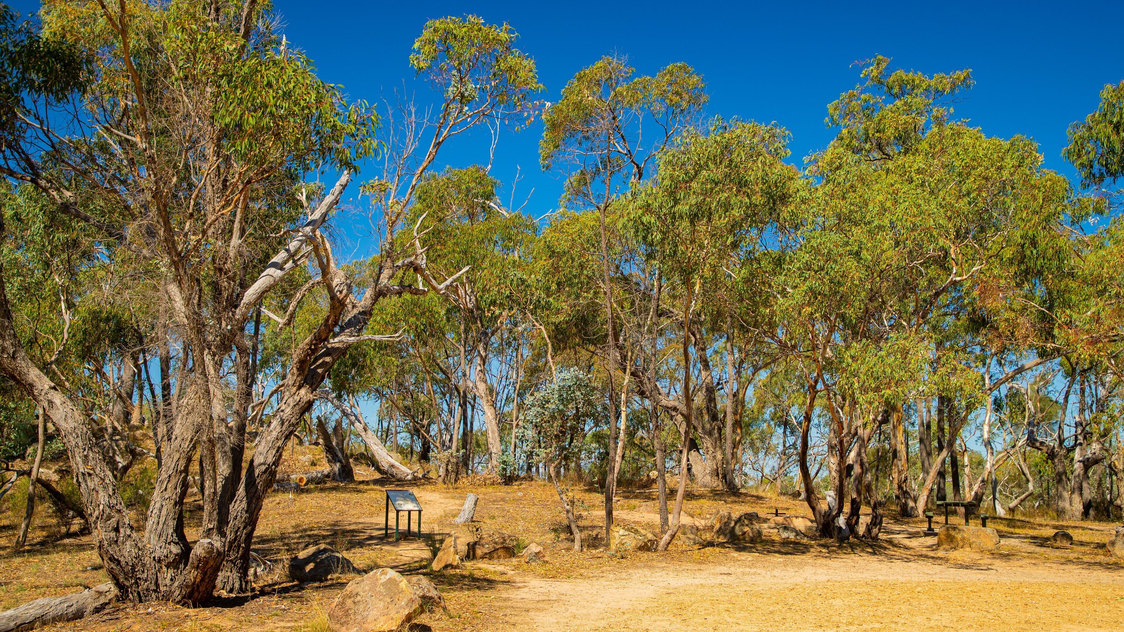 Warby Ovens National Park which includes tranquil scenes