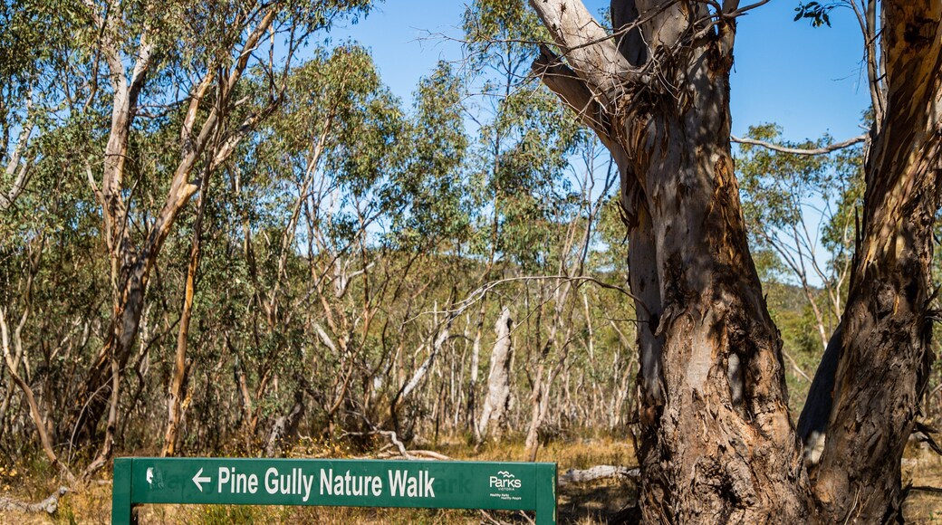 Warby Ovens National Park featuring signage and tranquil scenes