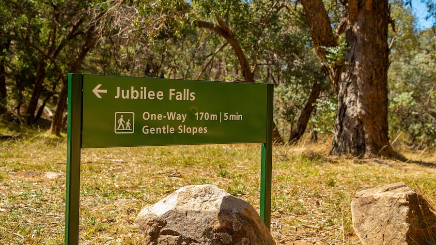 A sign for Jubilee Falls, indicating a one-way 170m trail with gentle slopes.
