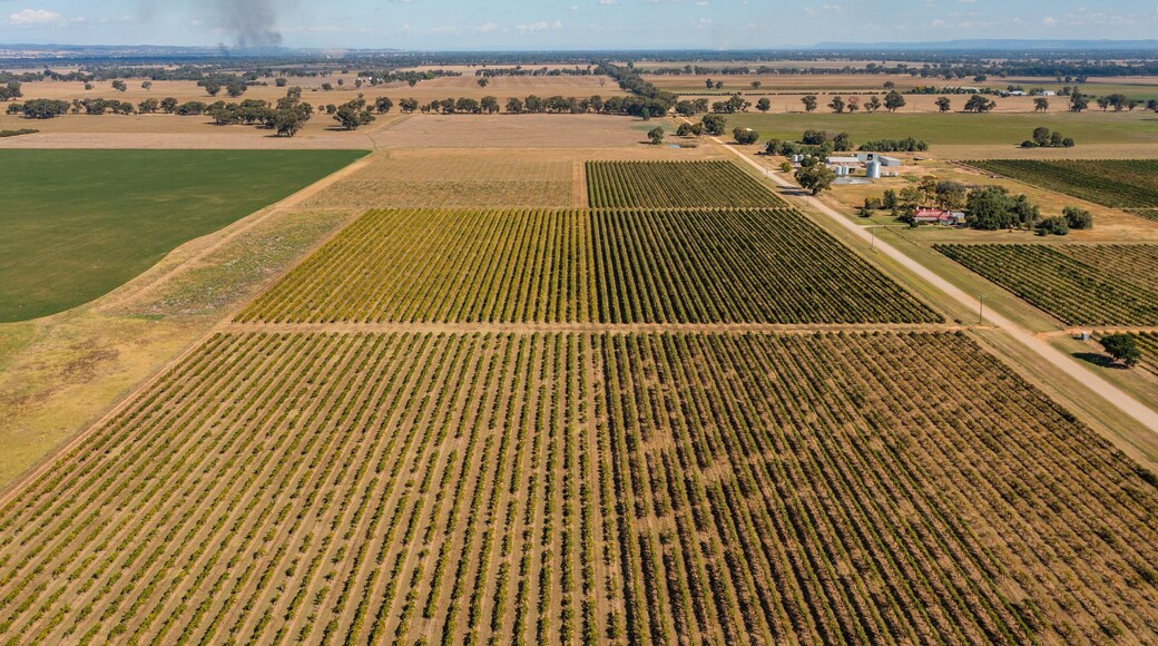 Campbells Winery featuring landscape views and farmland