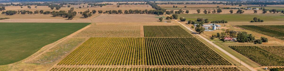 Campbells Winery featuring landscape views and farmland