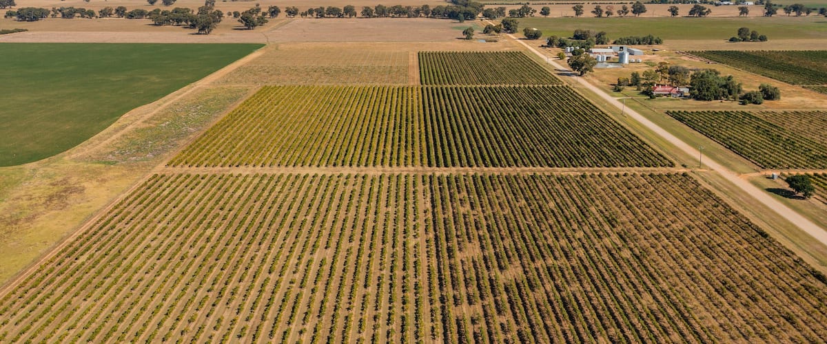 Campbells Winery featuring landscape views and farmland