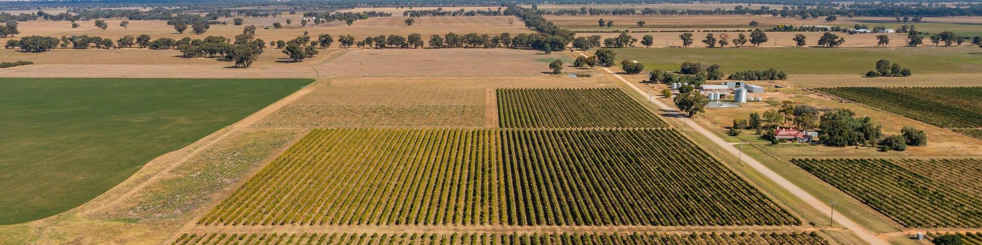 Campbells Winery featuring landscape views and farmland