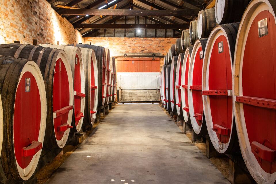 Una hilera de barriles grandes de vino en una bodega.
