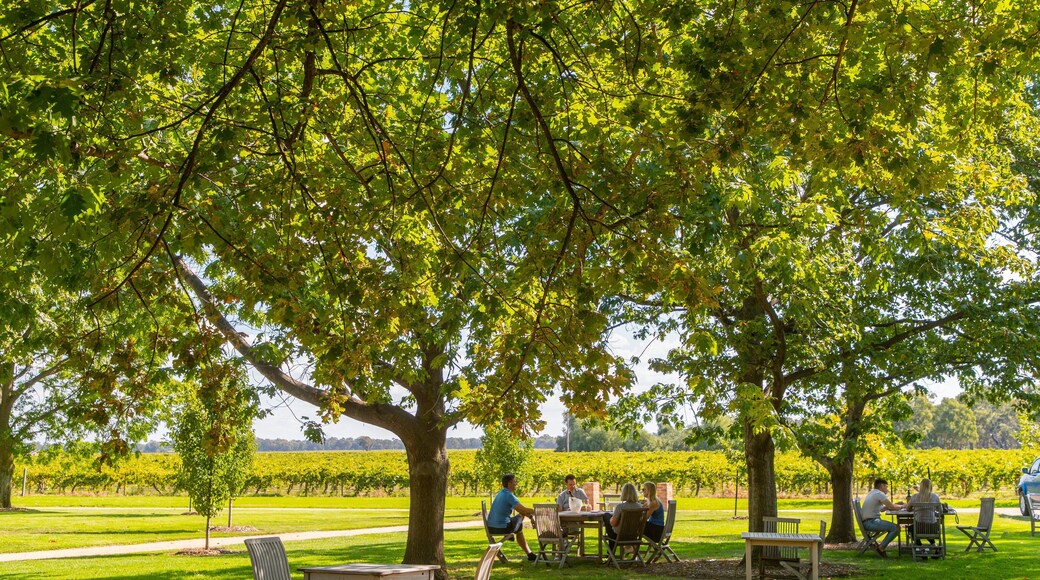 Campbells Winery which includes a park as well as a small group of people