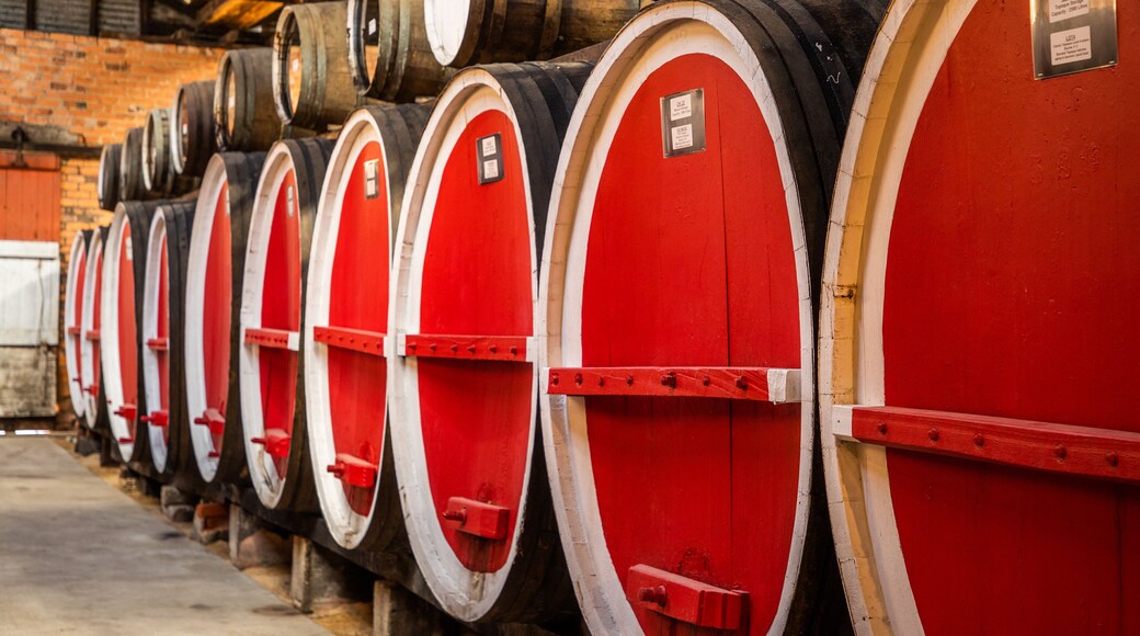 Campbells Winery showing interior views