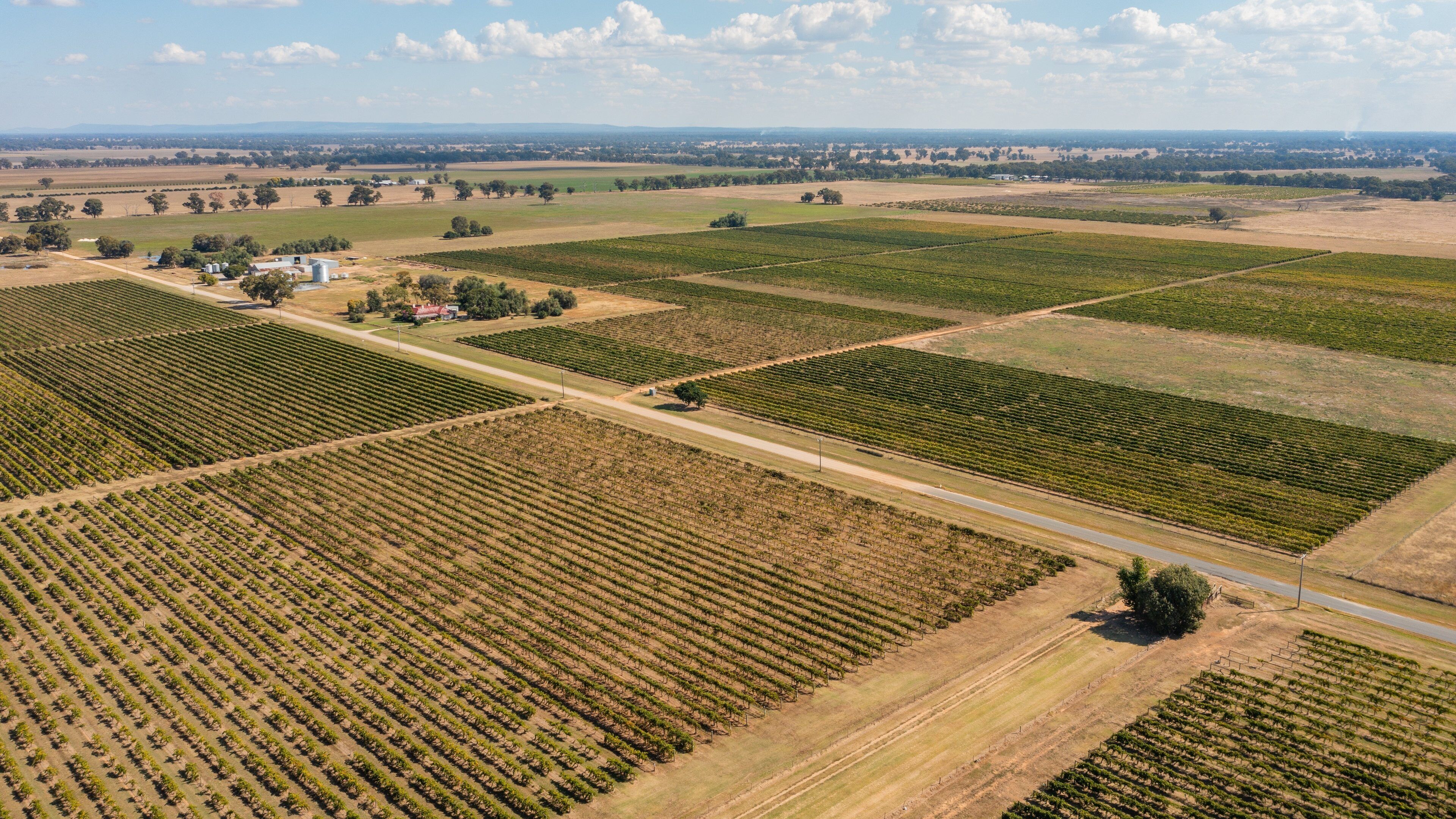 Campbells Winery which includes farmland and landscape views