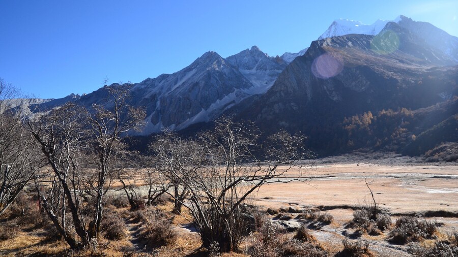 中華人民共和國大使館