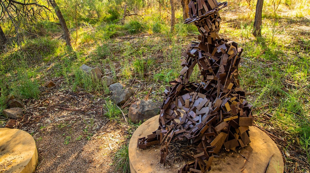 Peak Hill Open Cut Experience featuring a park and outdoor art