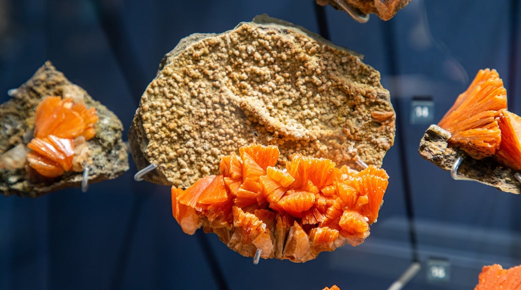 Australian Fossil and Mineral Museum