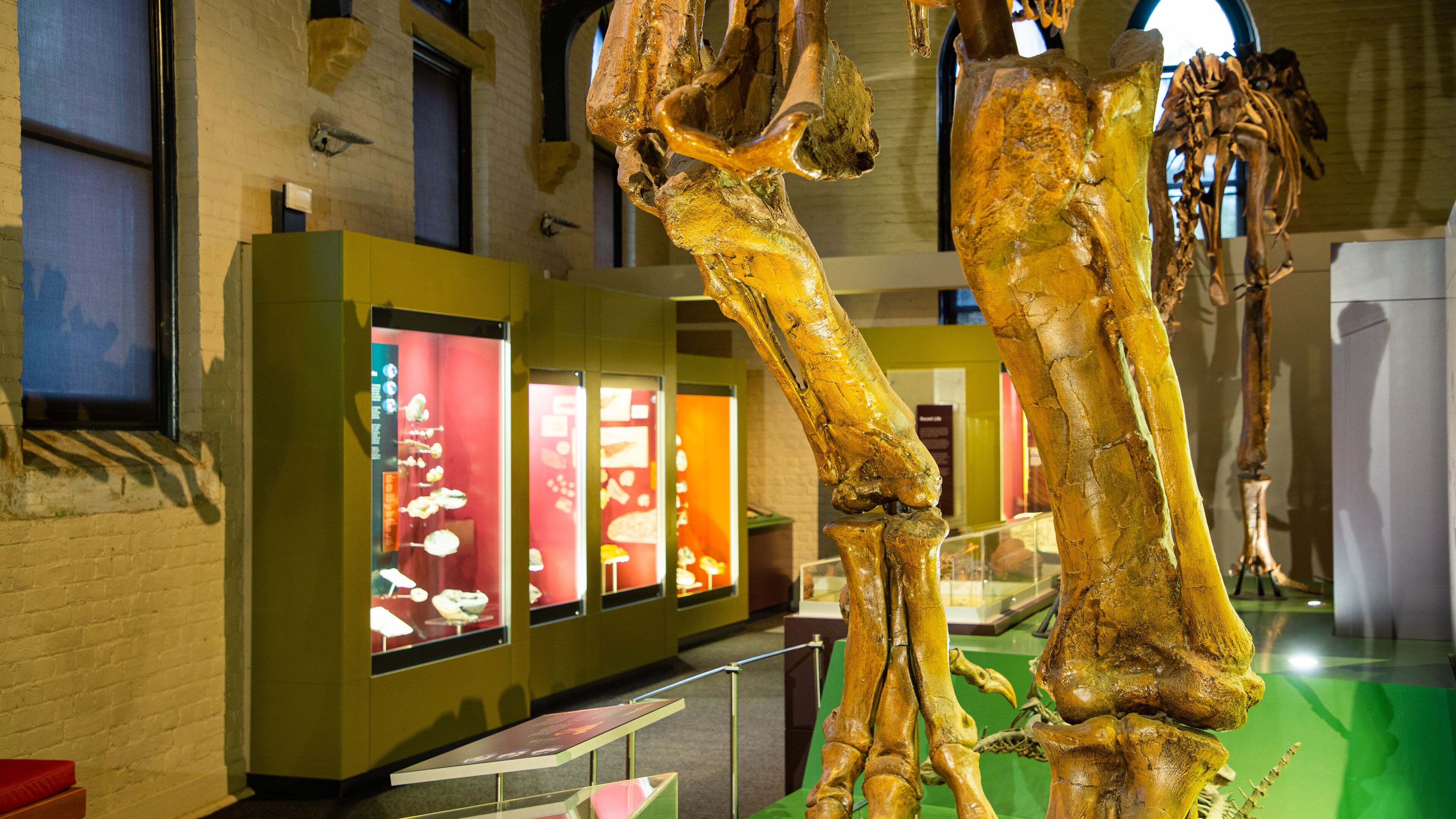 Australian Fossil and Mineral Museum featuring heritage elements