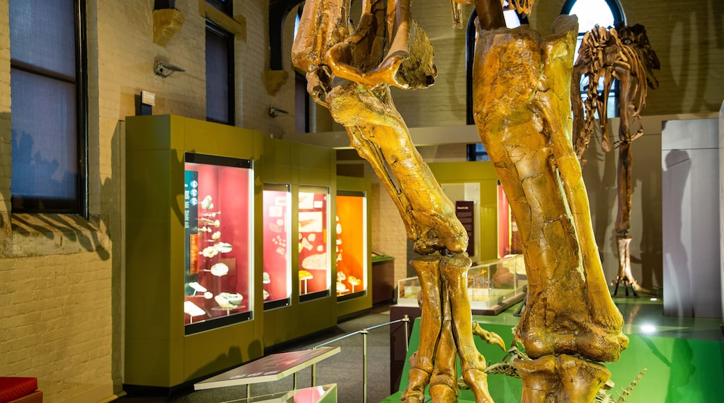 Australian Fossil and Mineral Museum featuring heritage elements