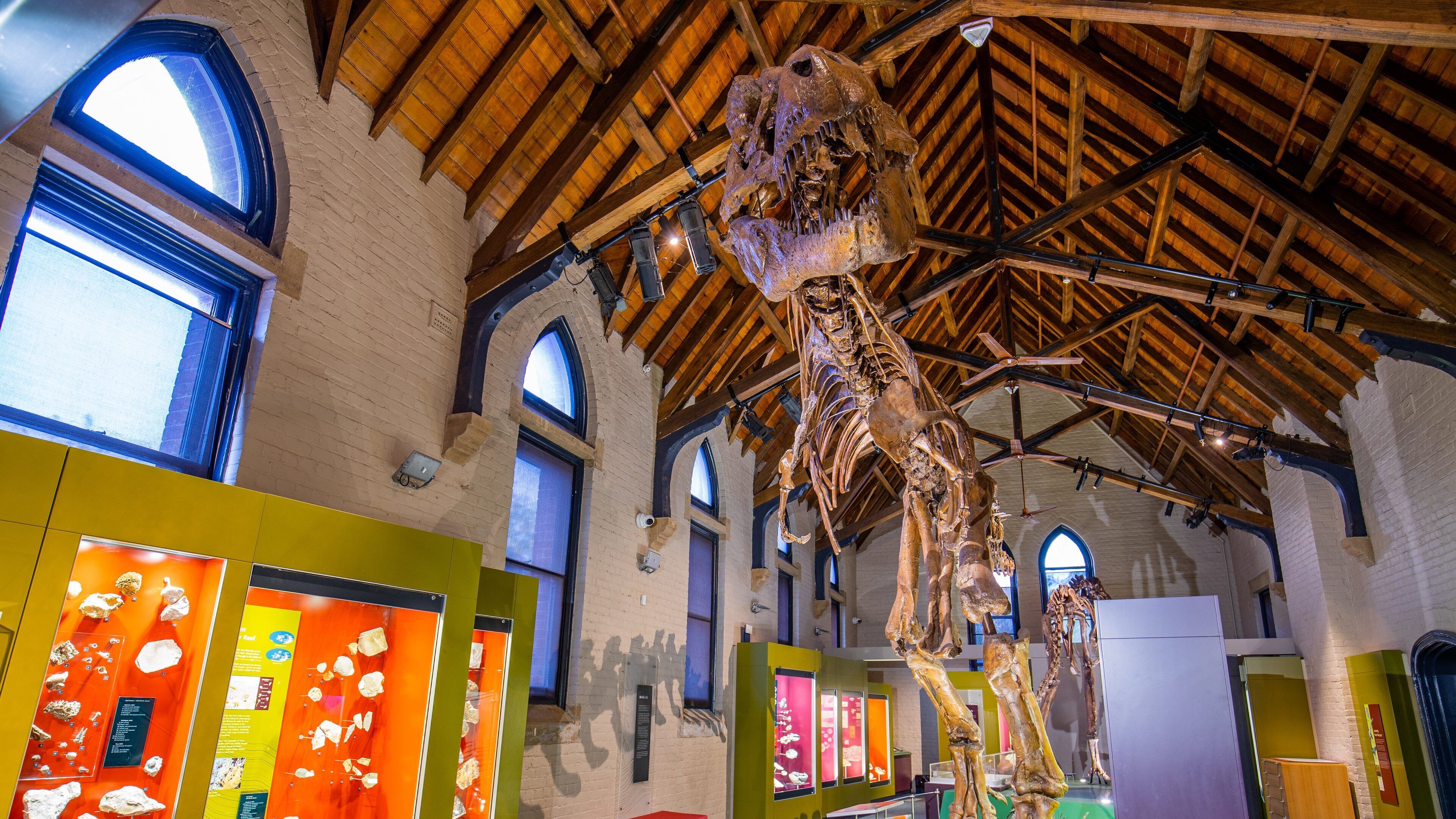 Australian Fossil and Mineral Museum featuring interior views and heritage elements
