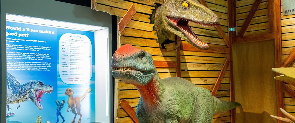 Australian Fossil and Mineral Museum showing interior views