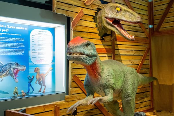 Australian Fossil and Mineral Museum showing interior views