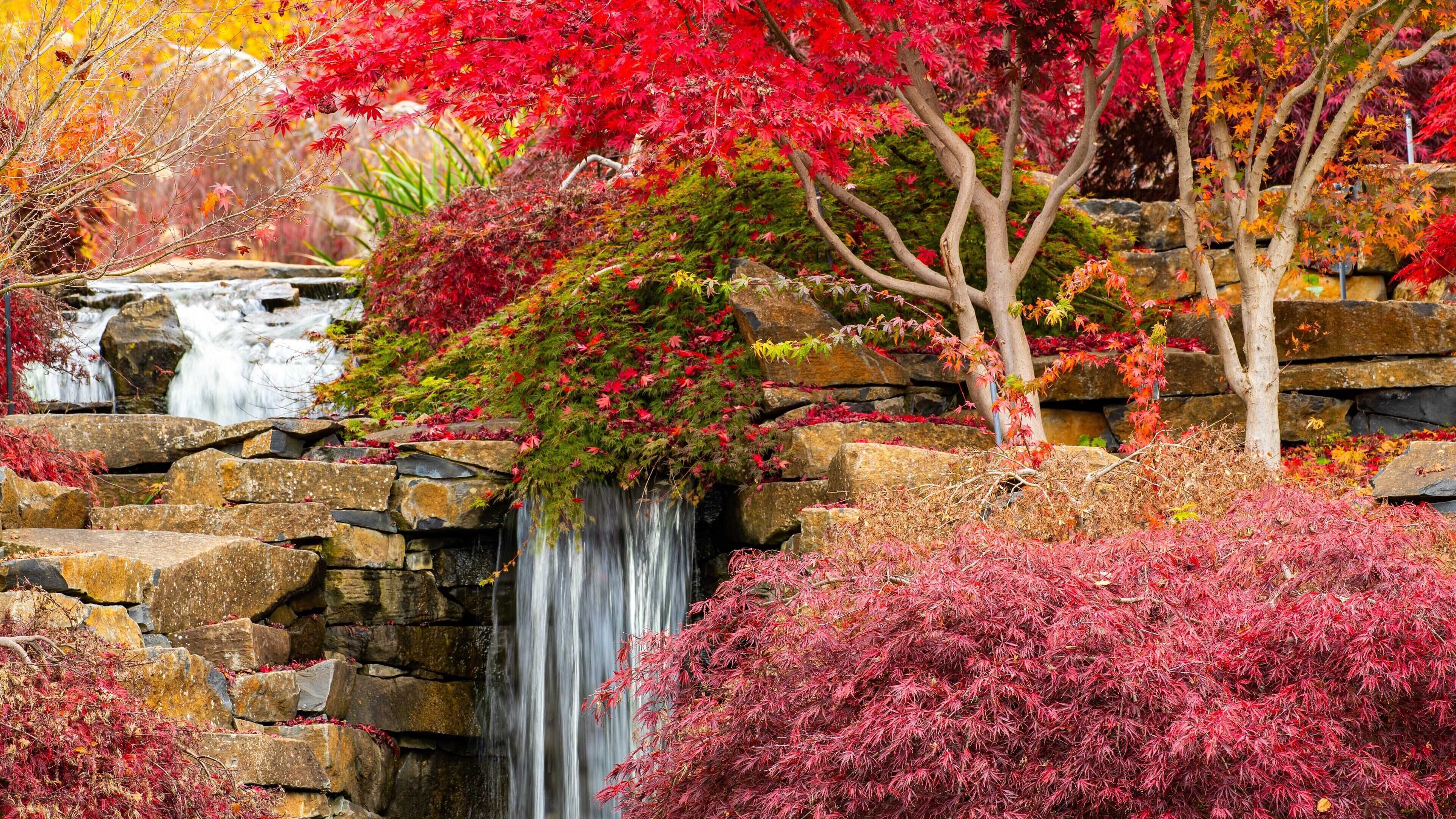 Mayfield Garden featuring a park and wildflowers